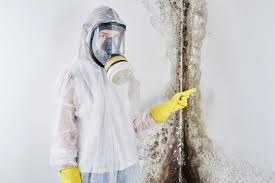 Best Comprehensive Air Testing for Mold Contaminants  in Brookhaven, PA